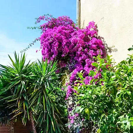 Apartament D'une A Avec Jardin Clos Et Wifi Fréjus